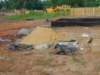 Photo Number 22